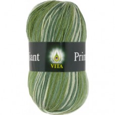Пряжа Vita Brilliant Print 2603 - 380м/100г
