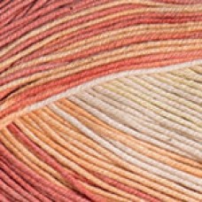 Пряжа Yarnart Ideal Crazy 4205 - 170м/50г